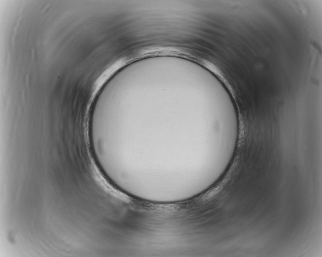 X0000100481090200806130727