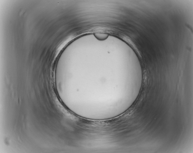 X0000100481091200806130727