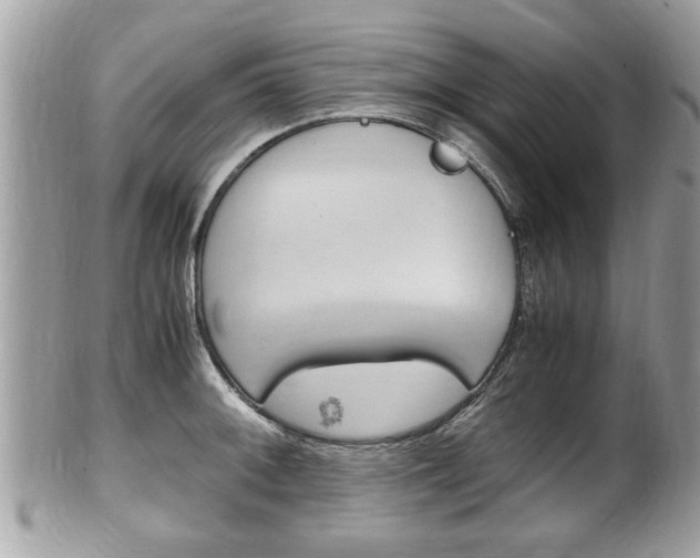X0000100481092200806130727