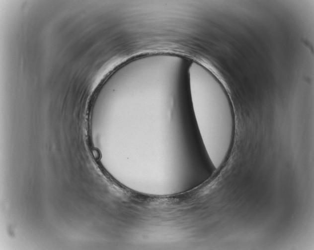X0000100481093200806130727