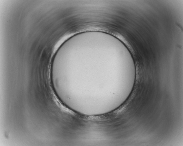 X0000100481094200806130727