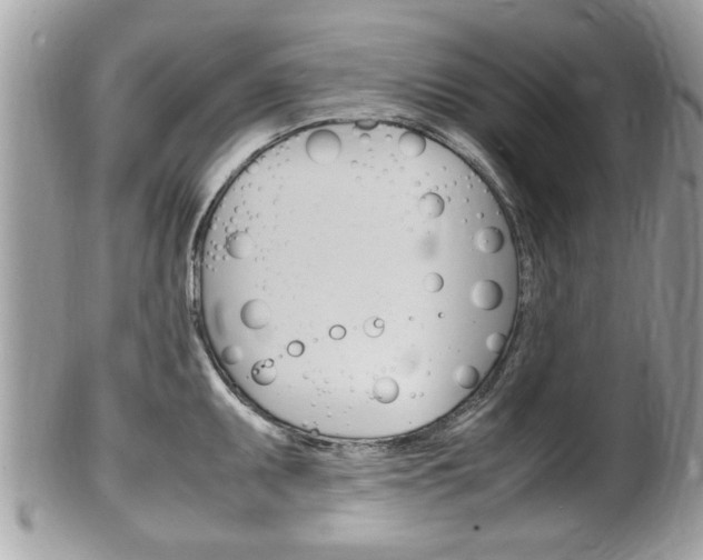 X0000100481095200806130727