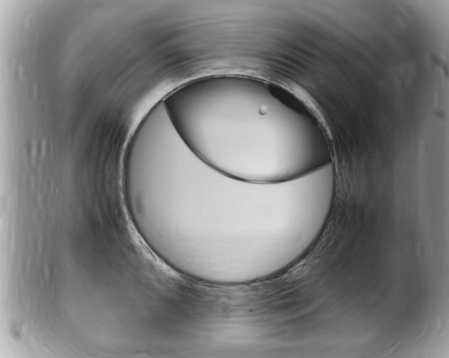 X0000100481096200806130727
