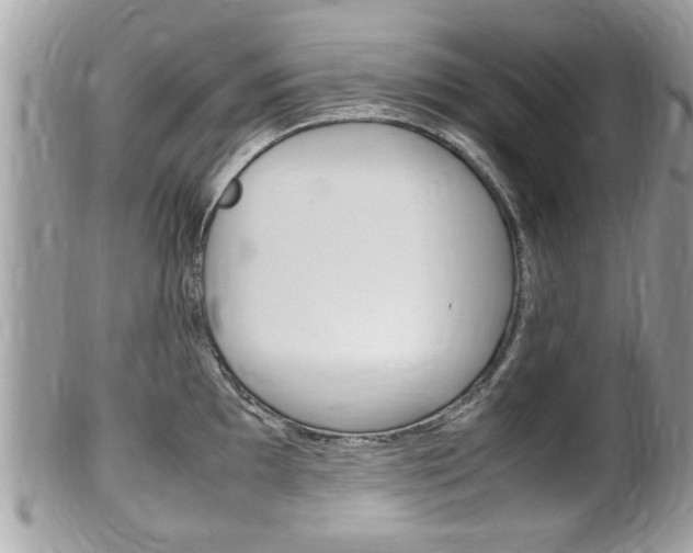 X0000100481097200806130727