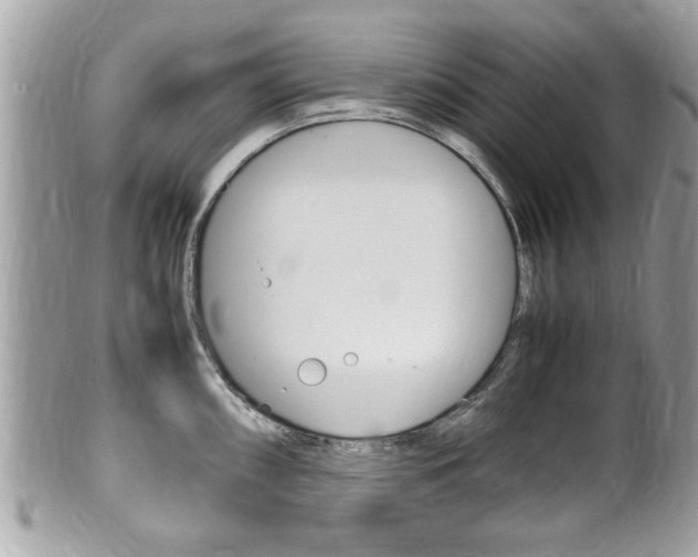 X0000100481098200806130727