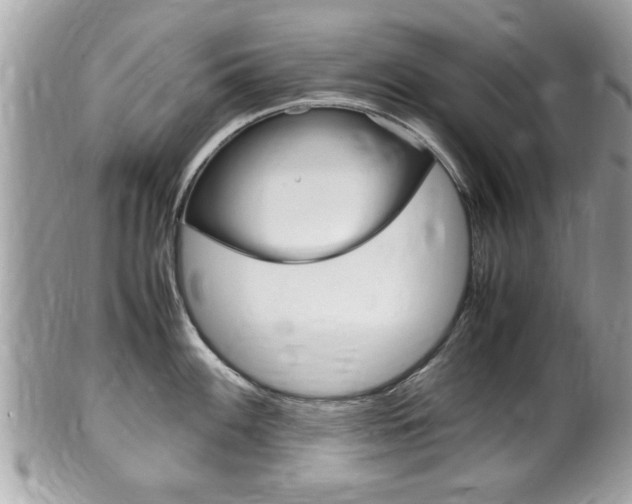 X0000100481100200806130727