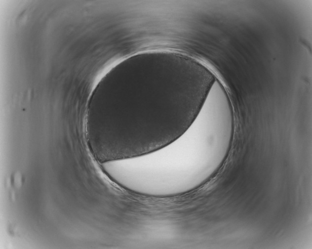 X0000100481101200806130727