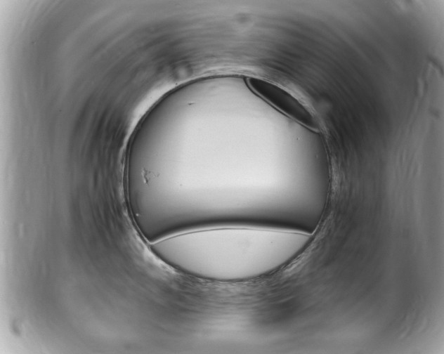 X0000100481102200806130727