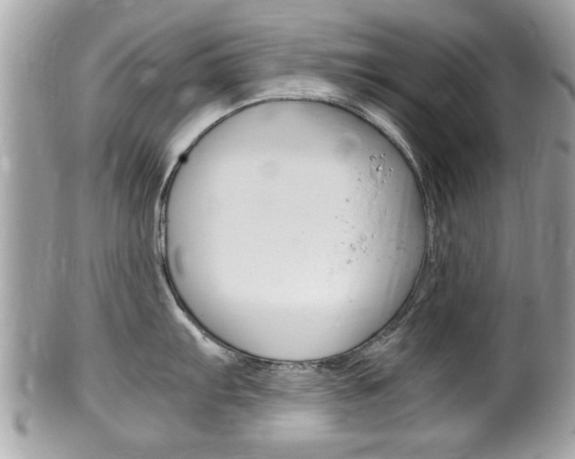 X0000100481103200806130727