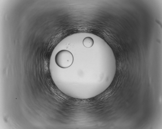 X0000100481106200806130726