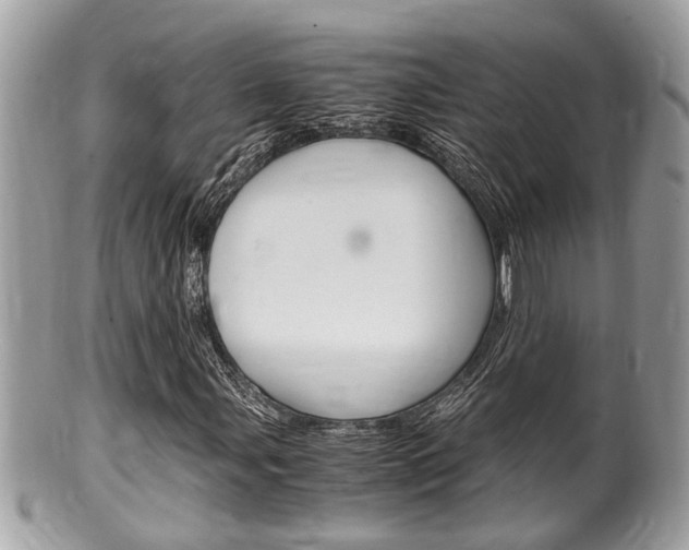 X0000100481107200806130726