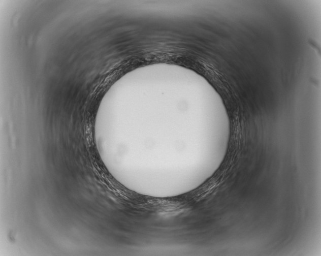 X0000100481109200806130726