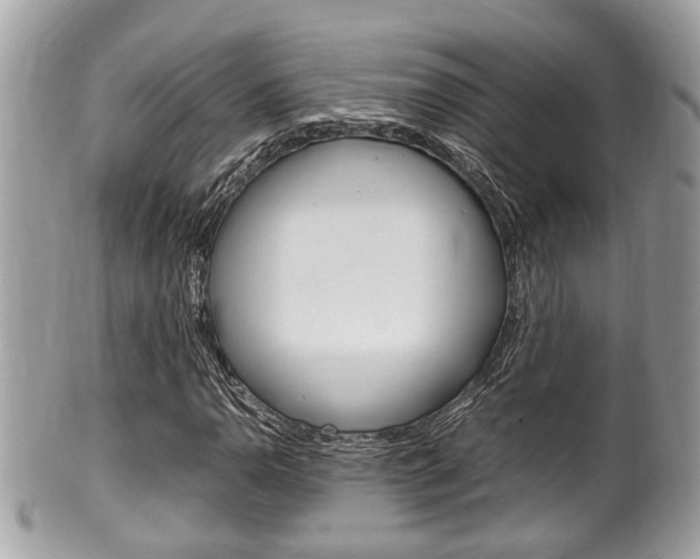 X0000100481110200806130726