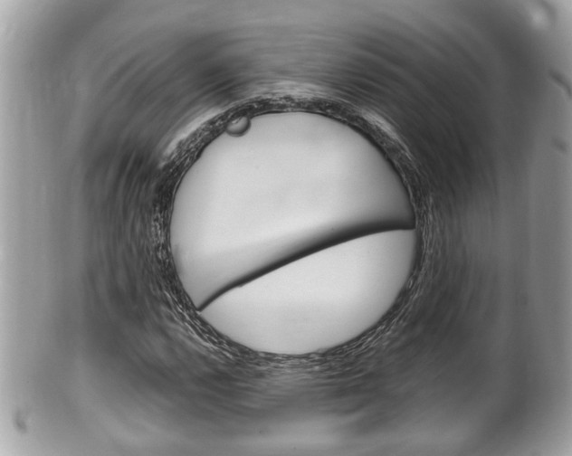 X0000100481112200806130726