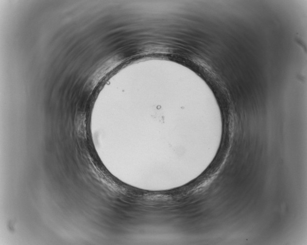 X0000100481113200806130726