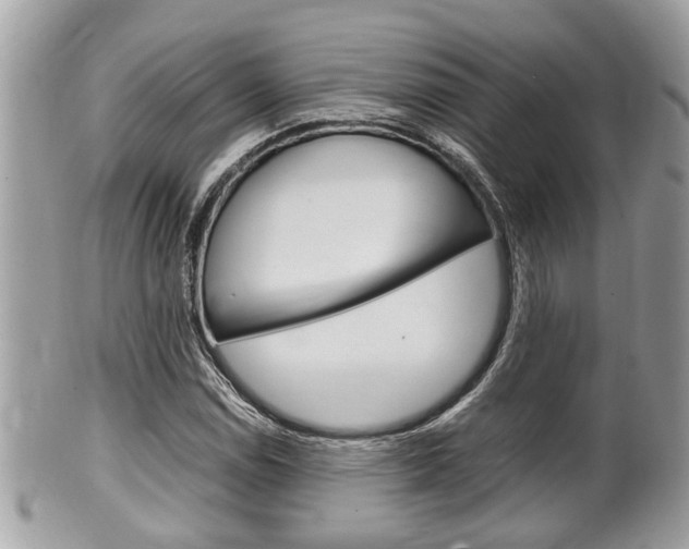 X0000100481114200806130726