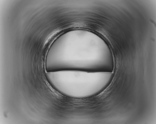 X0000100481115200806130726