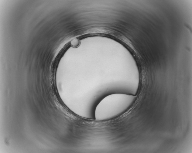 X0000100481116200806130726