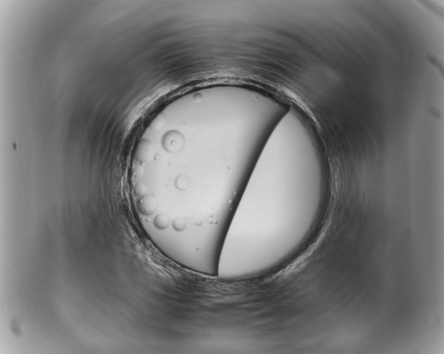 X0000100481117200806130726