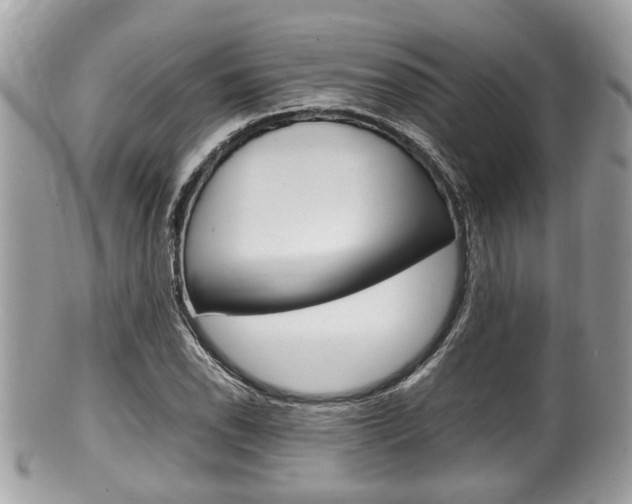 X0000100481118200806130726