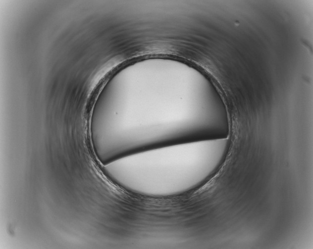 X0000100481119200806130726