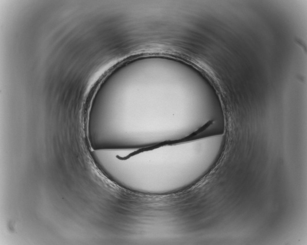 X0000100481120200806130726