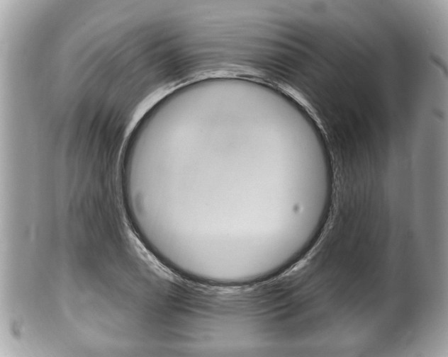 X0000100481122200806130726