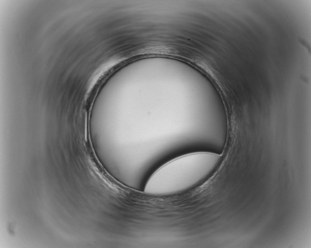 X0000100481123200806130726