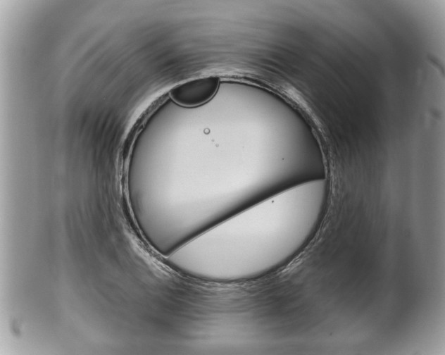X0000100481124200806130726