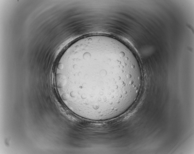 X0000100481125200806130726