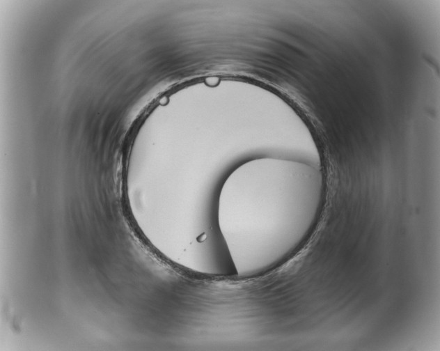 X0000100481126200806130726