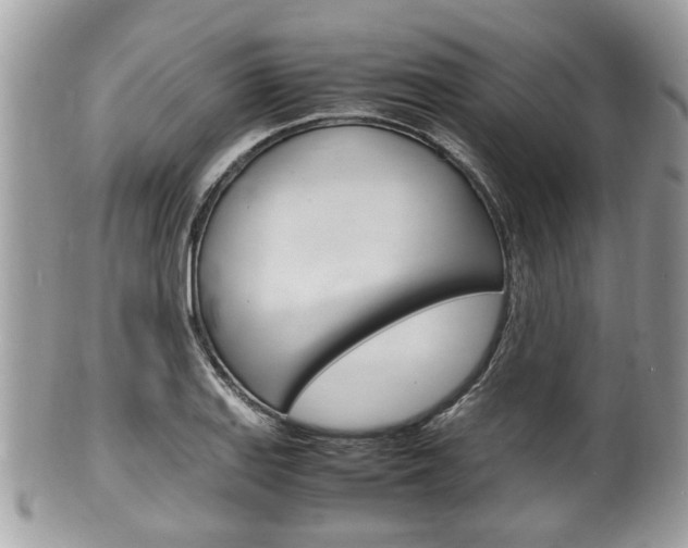 X0000100481127200806130726