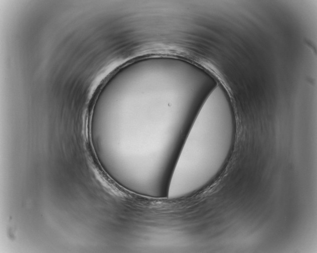 X0000100481128200806130726