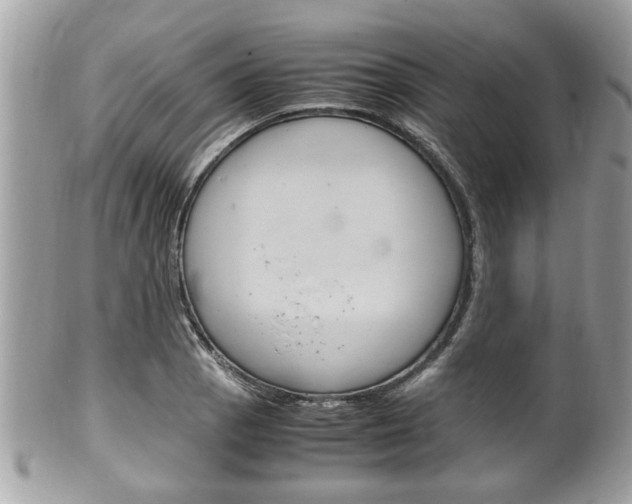 X0000100481129200806130726