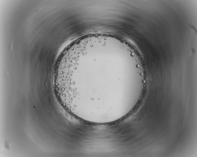 X0000100481130200806130726