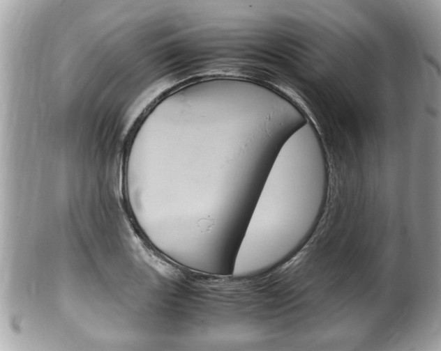X0000100481131200806130726