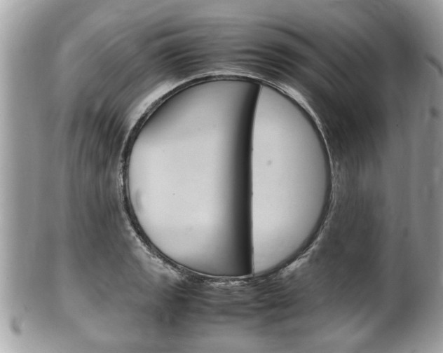 X0000100481133200806130726