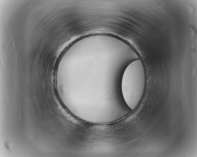 X0000100481134200806130726