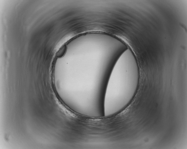 X0000100481135200806130726
