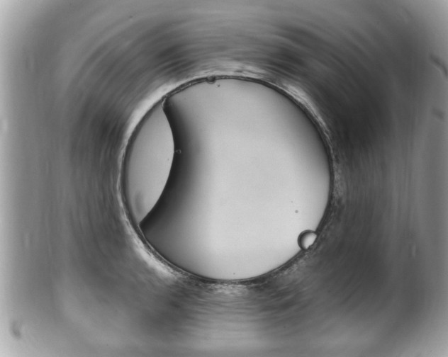 X0000100481136200806130726