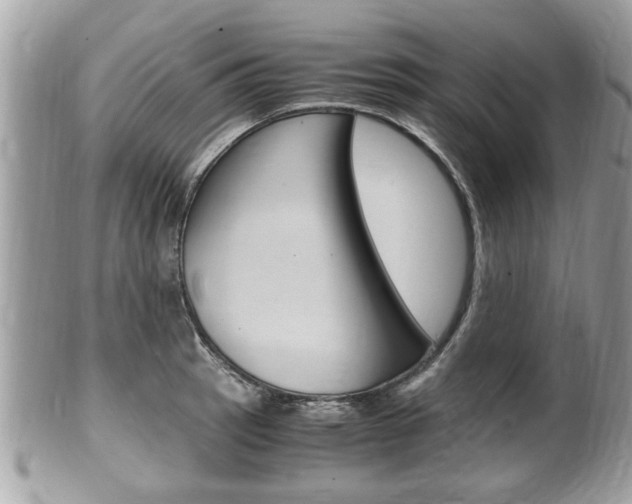 X0000100481137200806130726