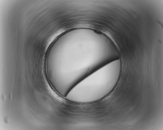X0000100481139200806130726