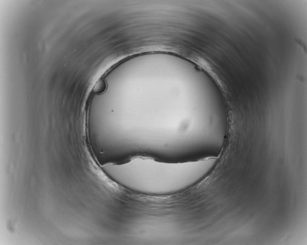 X0000100481140200806130726