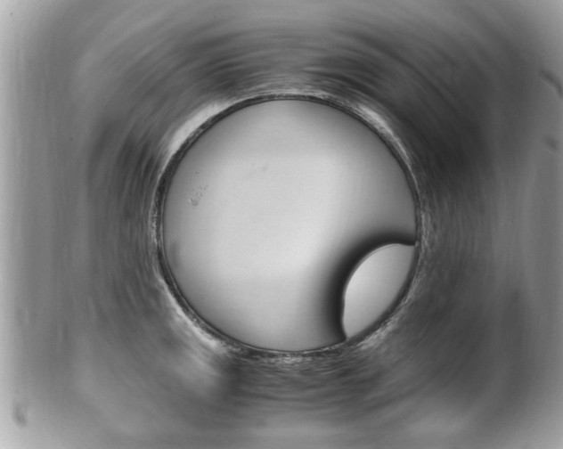 X0000100481141200806130726