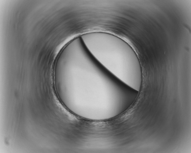 X0000100481142200806130726