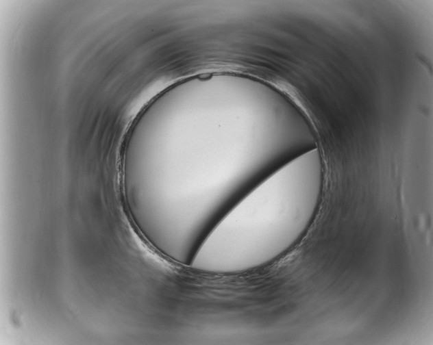 X0000100481143200806130726