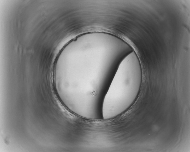X0000100481144200806130727