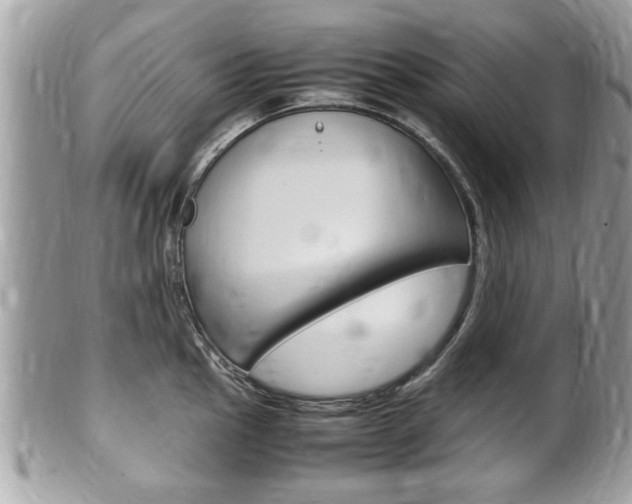 X0000100481145200806130727