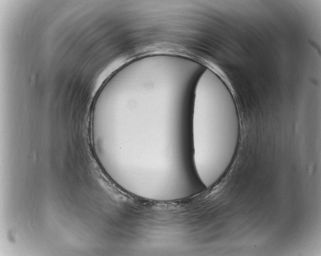 X0000100481146200806130727
