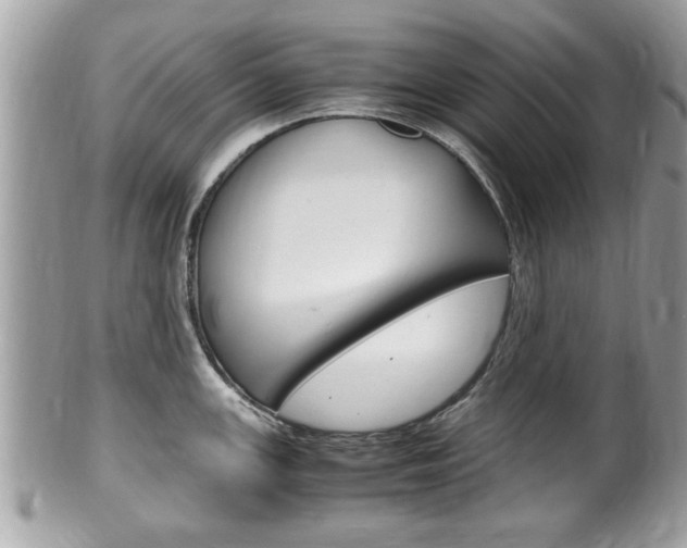 X0000100481147200806130727